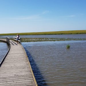 086a8447-0876-458c-8a41-8a82caab197c