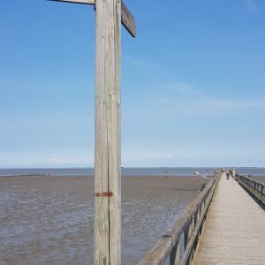 825a0bad-81dd-4713-8136-ea83f7ba8026