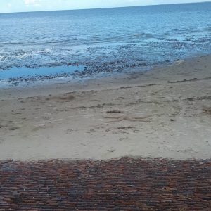 Screenshot_20211206-200828_Photos