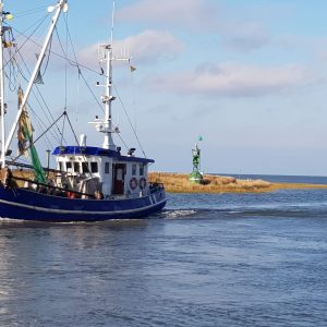 d0e21e16-ae07-4a60-af4e-1e98f8d20cde